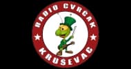 Radio Cvrčak
